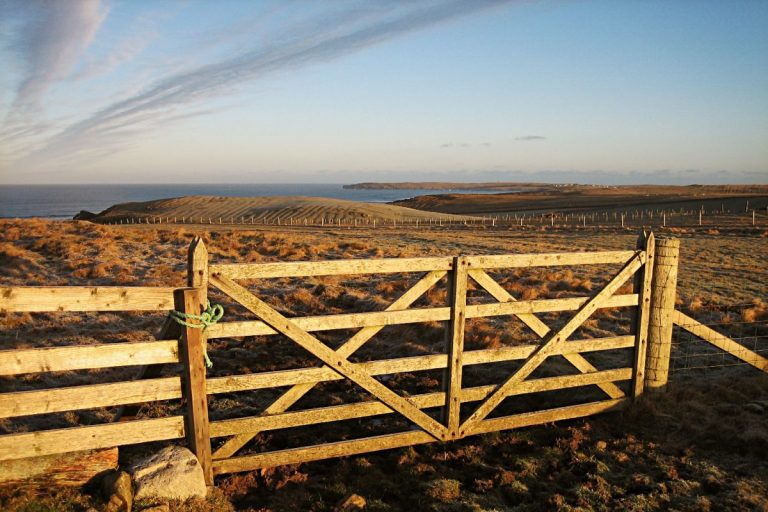 Picture: A landcape of the coast of Lewis, with fields and a wooden gate in the forefront