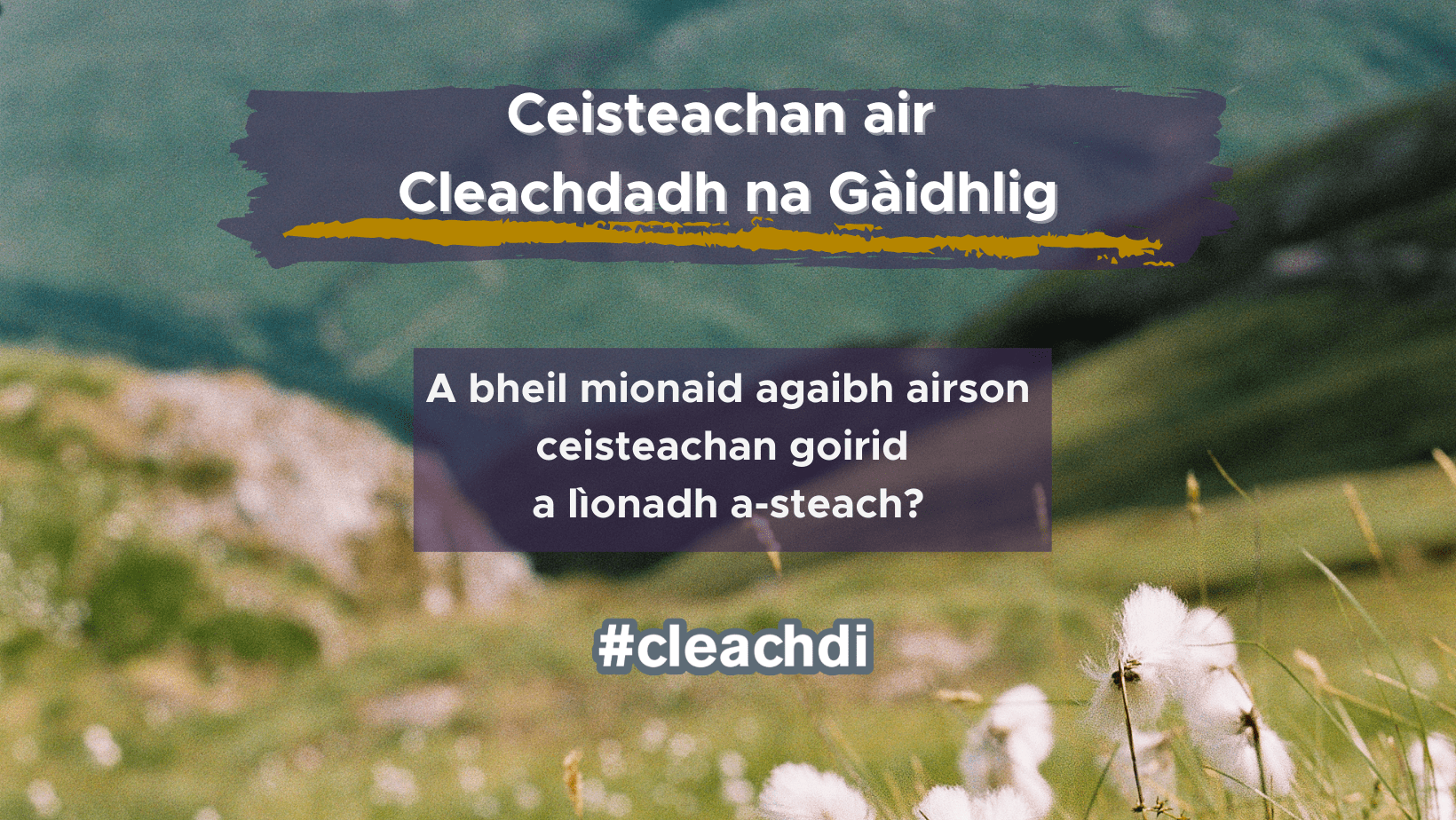 Ceisteachan air Cleachdadh na Gàidhlig