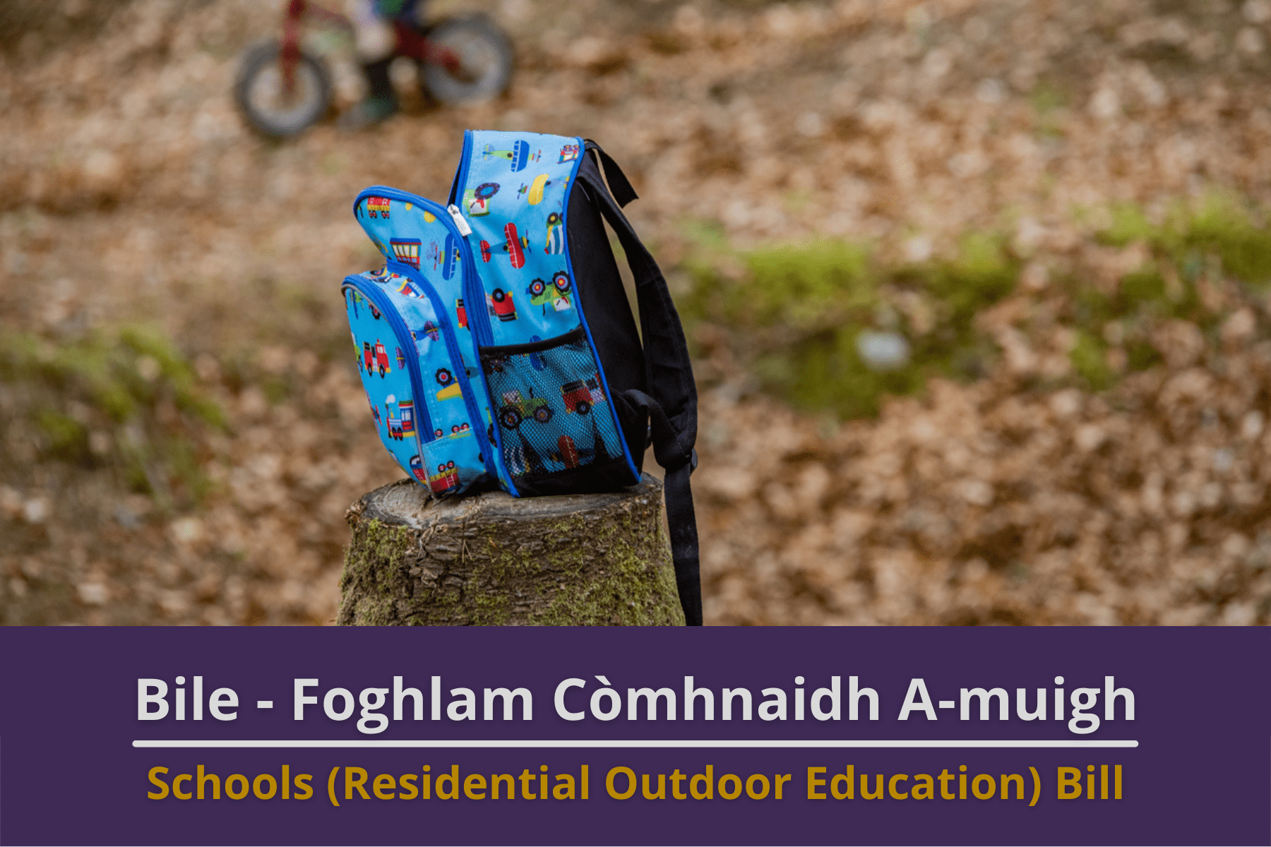 Schools (Residential Outdoor Education) (Scotland) Bill Consultation