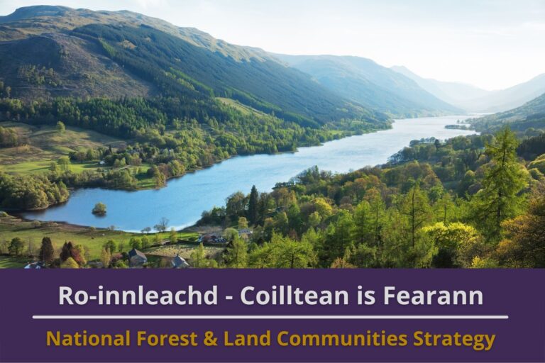 Picture: A beautiful Scottish glen on a sunny summer day. Text reads 'National Forrest and Land Communities Strategy'.