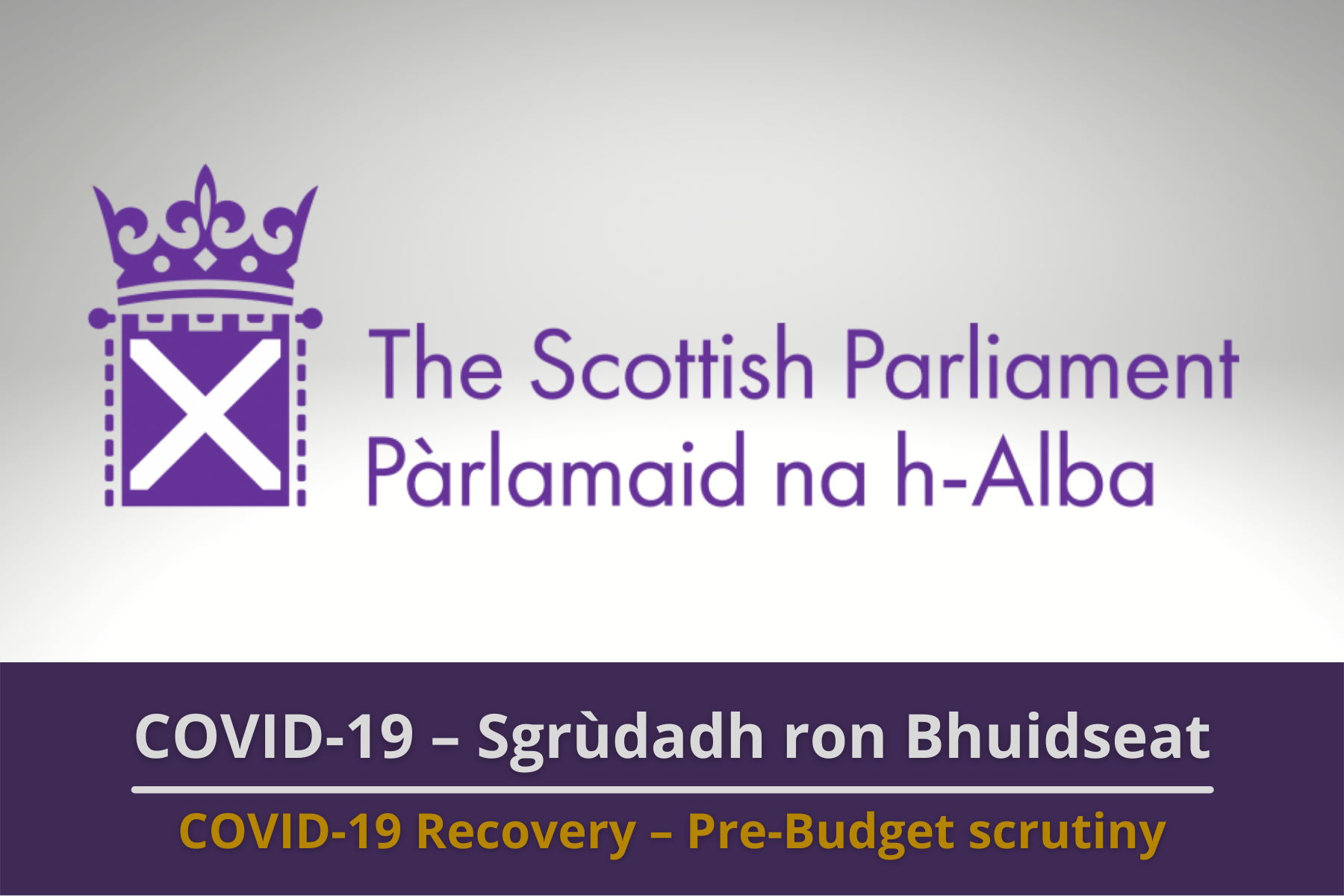 COVID-19 Recovery Committee – Pre-Budget Scrutiny