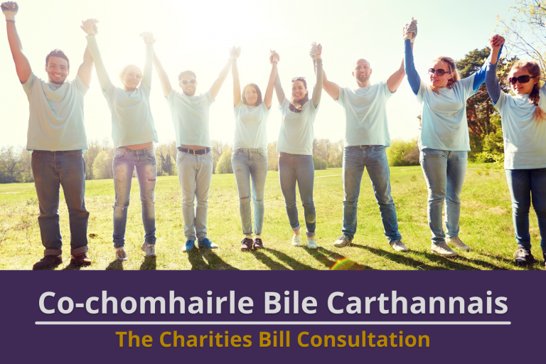 Picture: A group of people of varying ages, ethnicities, and genders wearing matching t-shirts, holding hands, and smiling in a sun-bathed field. Text reads 'The Charities Bill Consultation'