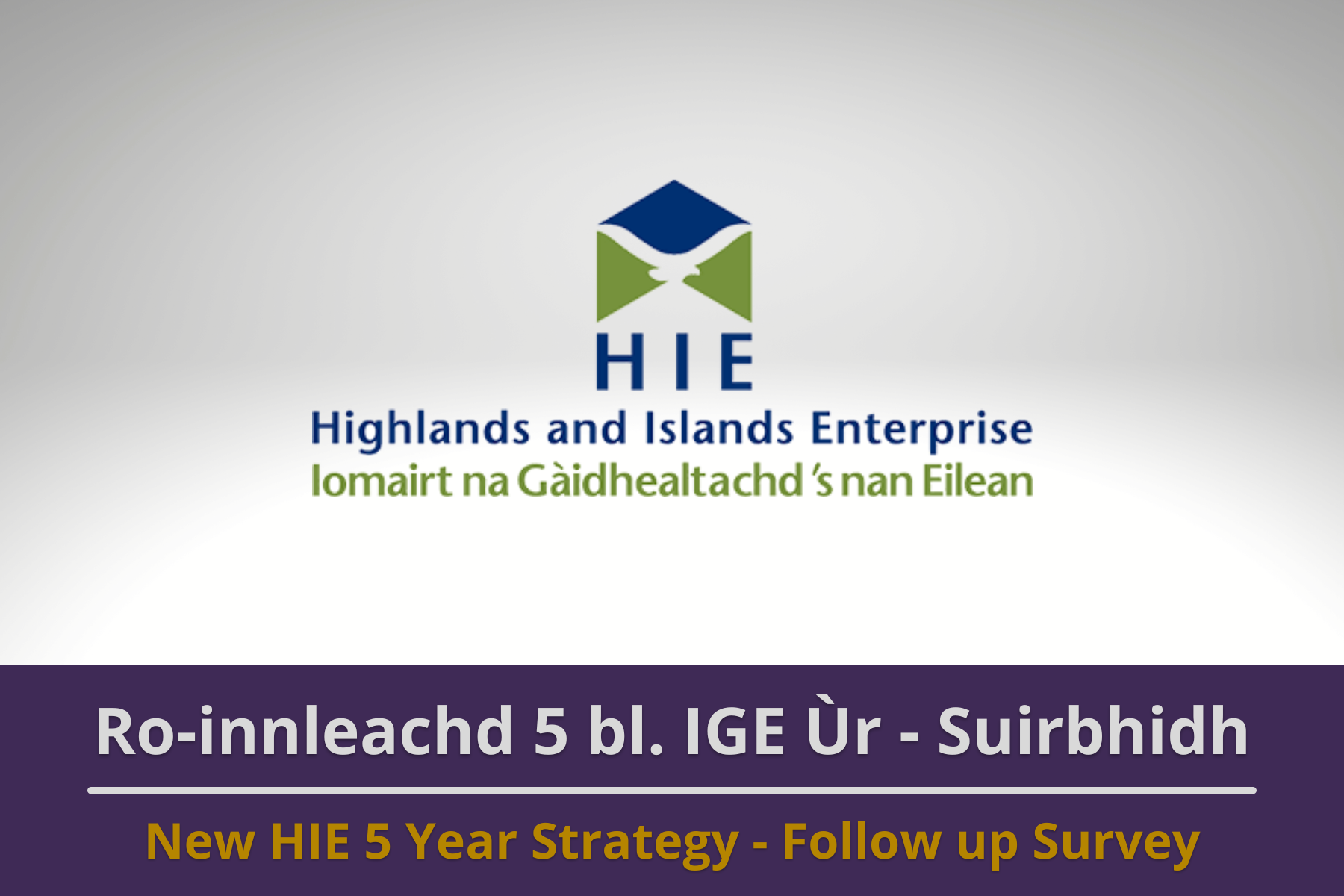 Response to HIE 5 Year Strategy