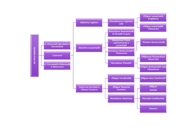 Graphic: An organogram of Bòrd na Gàidhlig including Board, Committees, Executive, Senior Management Team and other staff