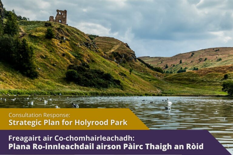 Picture: Swans on small loch in Holyrood Park, Edinburgh with text over picture. Text reads 'Consultation Response: Strategic Plan for Holyrood Park'