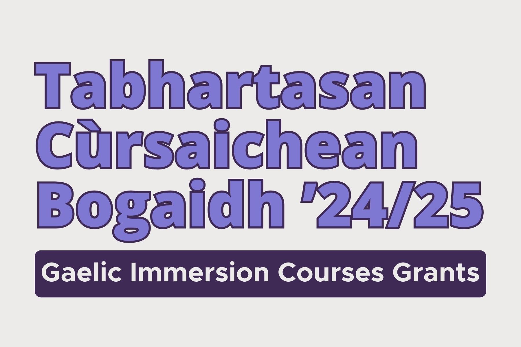 Immersion Course Grants for Education Practitioners